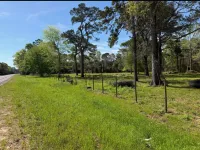 3.06 Acres with 628 Ft Paved Road Frontage in Woodville, TX – Image 13