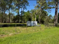 3.06 Acres with 628 Ft Paved Road Frontage in Woodville, TX – Image 8