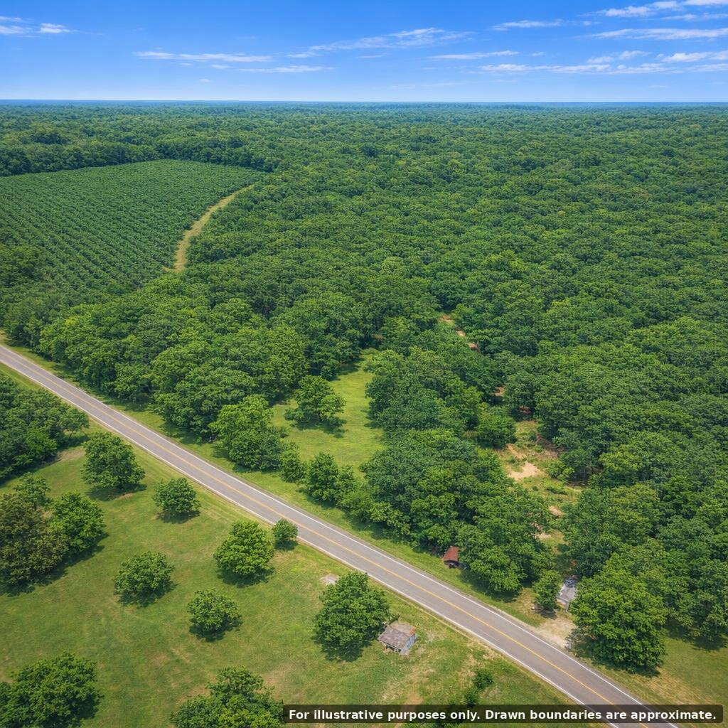 3.06 Acres with 628 Ft Paved Road Frontage in Woodville, TX – Image 25