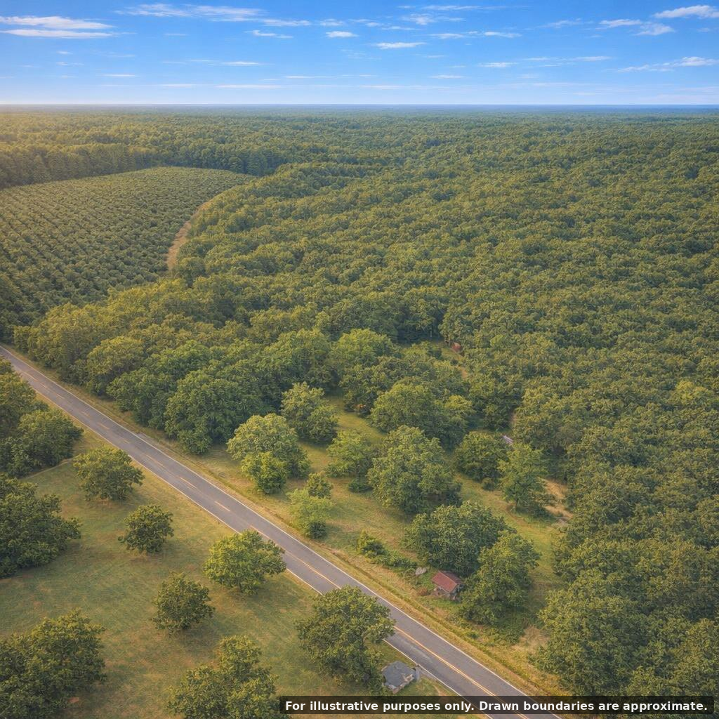 3.06 Acres with 628 Ft Paved Road Frontage in Woodville, TX – Image 31