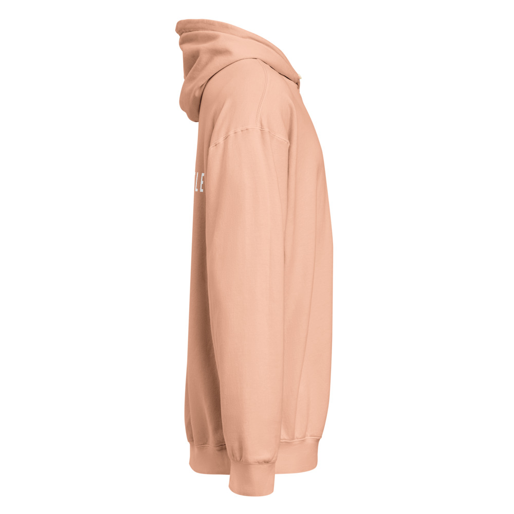 The Anti Hustle Hoodie ( Unisex ) – Image 16