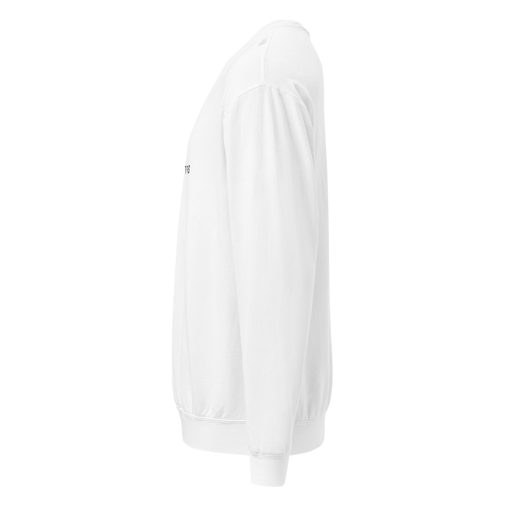 Born for This™ Premium Crew Neck Sweatshirt ( Unisex ) – Image 6