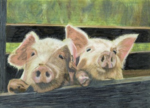 PORK AND BEANS – Image 5