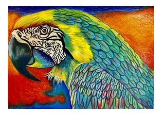 MARDI GRAS PARROT – Image 5