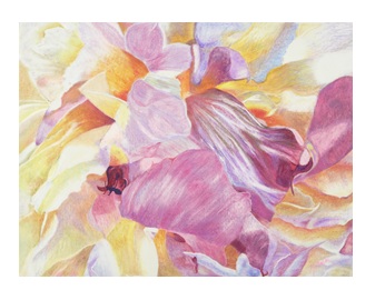 UP CLOSE AND PERSONAL PEONIES  – Image 5