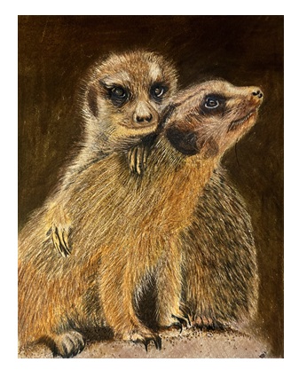 MEERKATS DON'T DANCE – Image 5