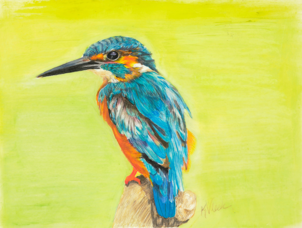 THE KINGFISHER – Image 3