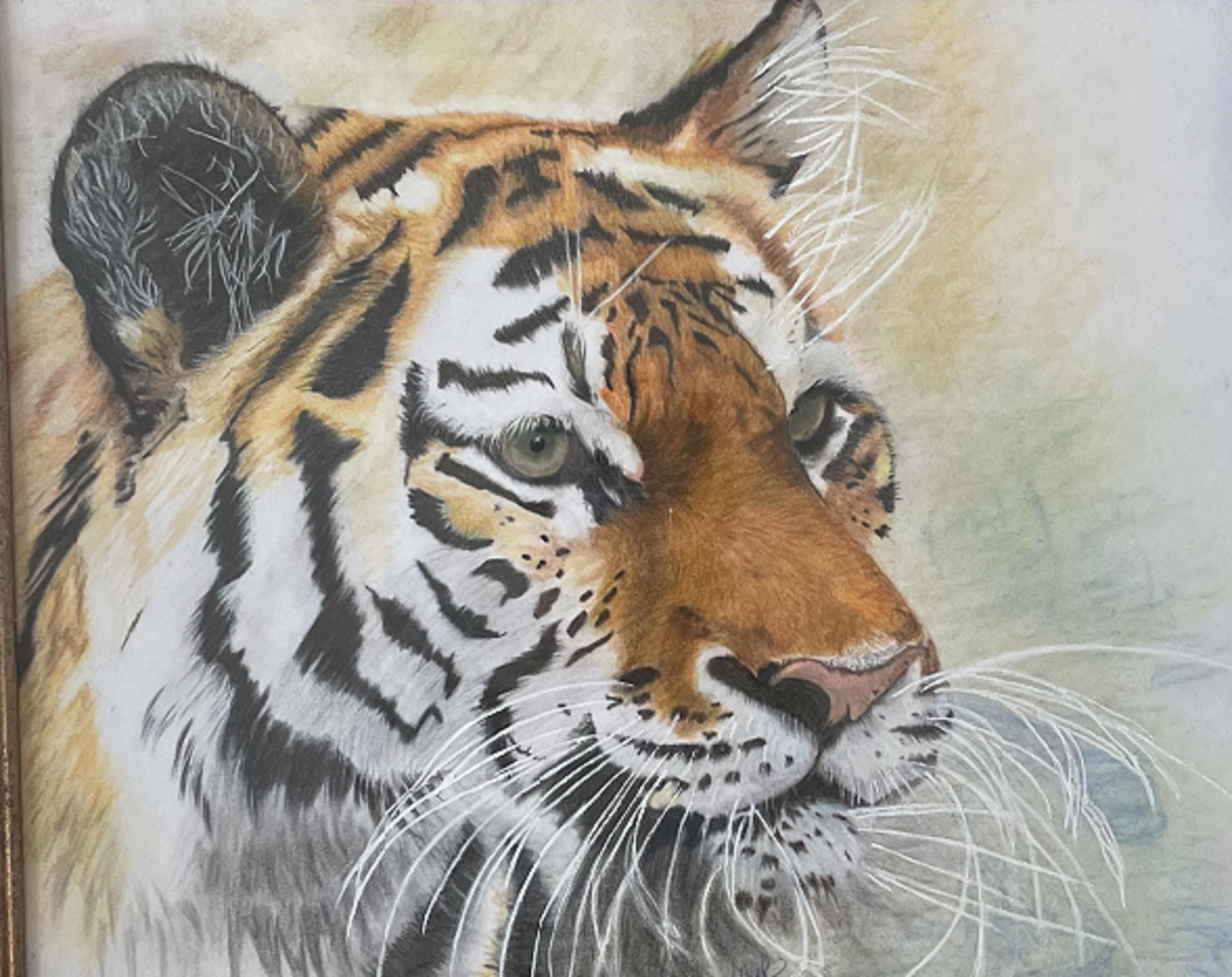 NOT TIGER LILLIE – Image 4