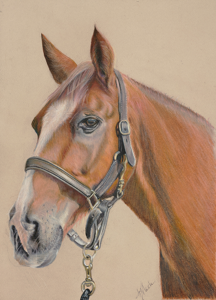 JUST HORSING AROUND – Image 3