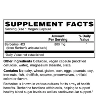 Berberine – Image 2