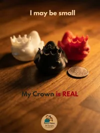 Duck Court is in Session – 3D Printed Crown Duck Set in White, Black & Red – Image 2