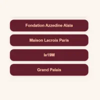 Paris Couture – Image 6