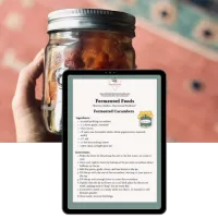 Fermented Foods Guide (USD) – Image 1