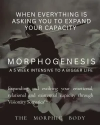 Morphogenesis – Image 11