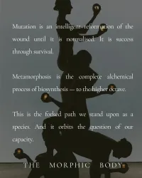 Morphogenesis – Image 15