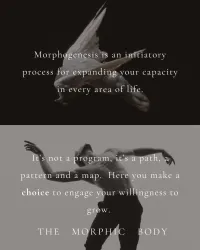 Morphogenesis – Image 7
