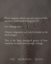 Singing The Bones – Image 5