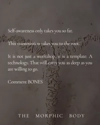 Singing The Bones – Image 2