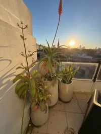 📍Palermo Hollywood |  DUPLEX | USD 1200 – Imagen 8