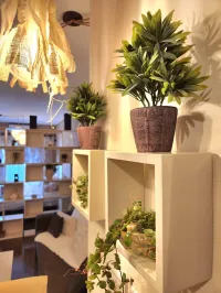 📍COLEGIALES | DIVIDED STUDIO | MONOAMBIENTE DIVIDIDO  – Imagen 3
