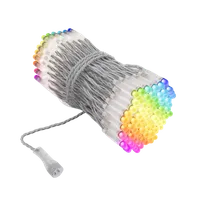 TWINKLY 250 RGBW PLC Capsule Pixels Single Line String – Transparent - TWINKLY PRO 250 RGBW