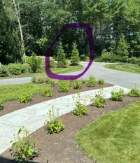 JOB ID: 118966 in Kennebunkport, Maine 04046 – Image 2