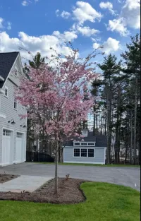JOB ID: 118966 in Kennebunkport, Maine 04046 – Image 1