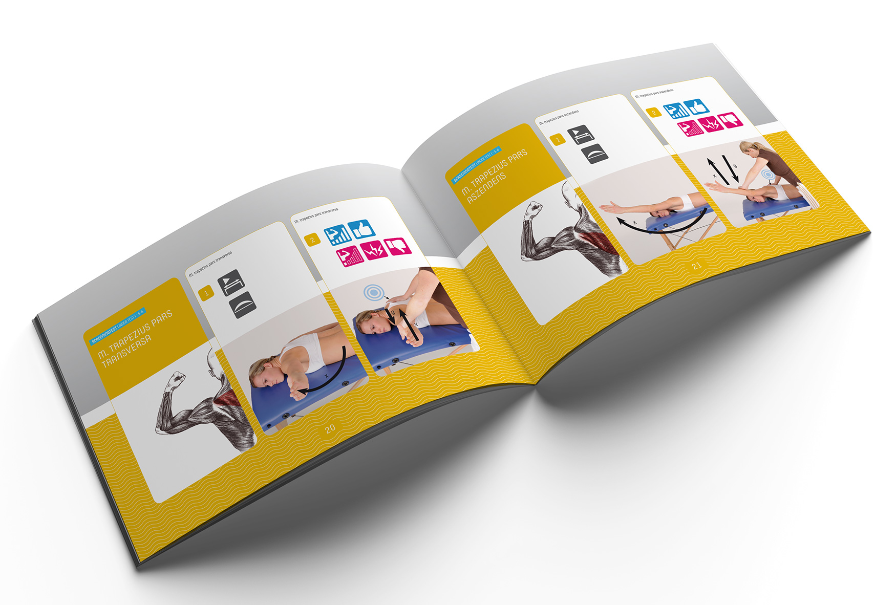 Handbuch " Muscle Tests - A Practical Guide" International Edition von Kristin Schirbock – Image 2