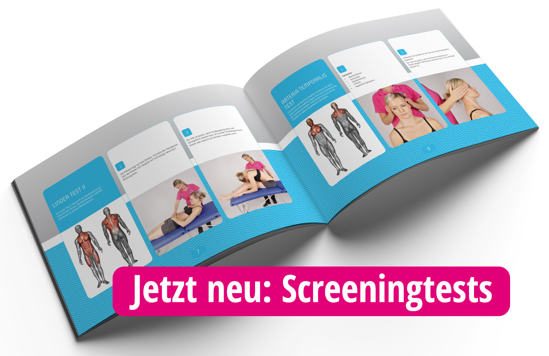 Handbuch " Muscle Tests - A Practical Guide" International Edition von Kristin Schirbock – Image 3