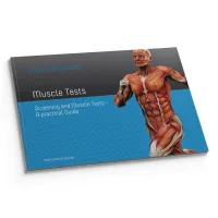 Handbuch " Muscle Tests - A Practical Guide" International Edition von Kristin Schirbock – Bild 1