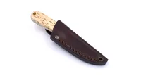 Necker 70 Visakoivu – Image 4