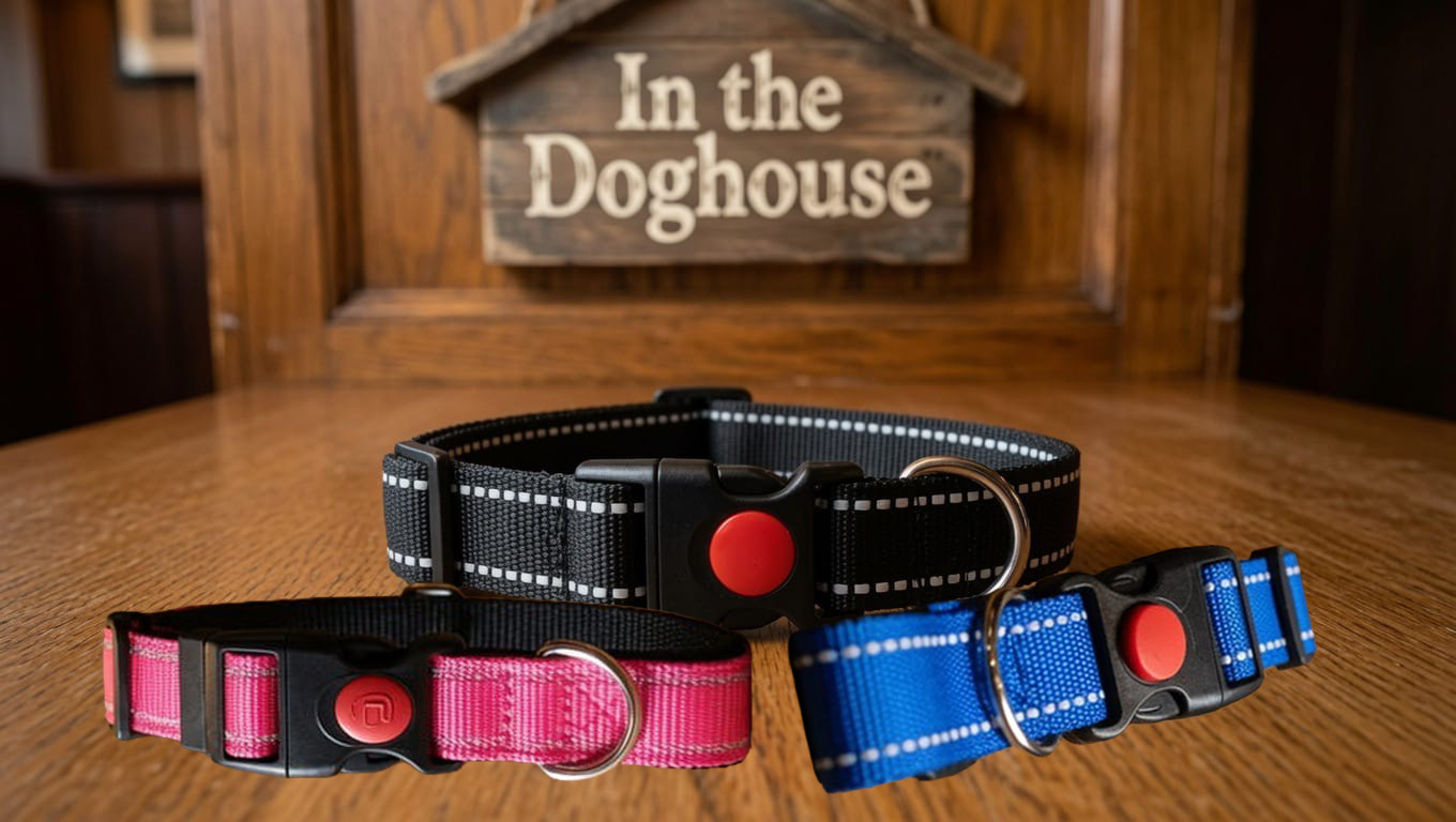Strong Weather Resistant Dog Collar - Sm, M or L - Pink, Blue or Black – Image 1