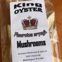 American Mushroom & Spice: Dried, King Oyster – Image 1