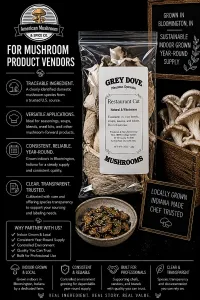 American Mushroom & Spice: Vegan Broth Base (Pleurotus ostreatus) – Image 1