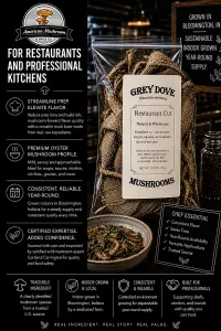 American Mushroom & Spice: Vegan Broth Base (Pleurotus ostreatus) – Image 2