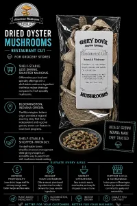 American Mushroom & Spice: Vegan Broth Base (Pleurotus ostreatus) – Image 3