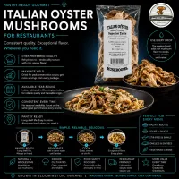 American Mushroom & Spice: Dried Italian Oyster – Image 2