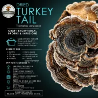 American Mushroom & Spice: Dried Turkey Tail  – Image 1