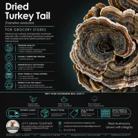 American Mushroom & Spice: Dried Turkey Tail  – Image 4