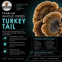 American Mushroom & Spice: Dried Turkey Tail  – Image 3