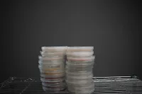 Shroomsquatch: Agar Plates (Blank) 20 – Image 1