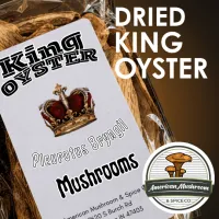 American Mushroom & Spice: Dried, King Oyster – Image 1