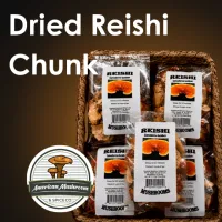 American Mushroom & Spice: Dried Reishi Chunk (Ganoderma lucidum) – Image 1
