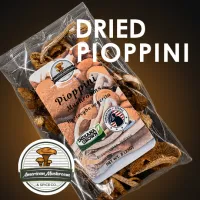 American Mushroom & Spice: Dried Pioppini Mushroom – Image 1