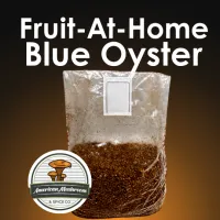 American Mushroom & Spice: Fruit-At-Home Block, Blue Oyster  – Image 1