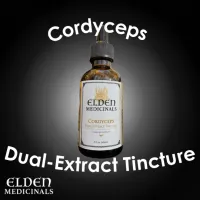 Cordyceps Mushroom Tincture: Organic Cultivated Mushroom Dual-extract for Natural Energy & Endurance Support – Image 1