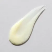 Citrus-C Nourishing Cream – Image 2