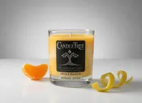 Citron & Mandarin Hand-Poured Soy Candle – Image 1