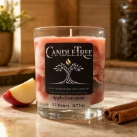 Apple Cinnamon Hand-Poured Soy Candle – Image 3