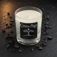 Campfire Memories Hand-Poured Soy Candle – Image 1